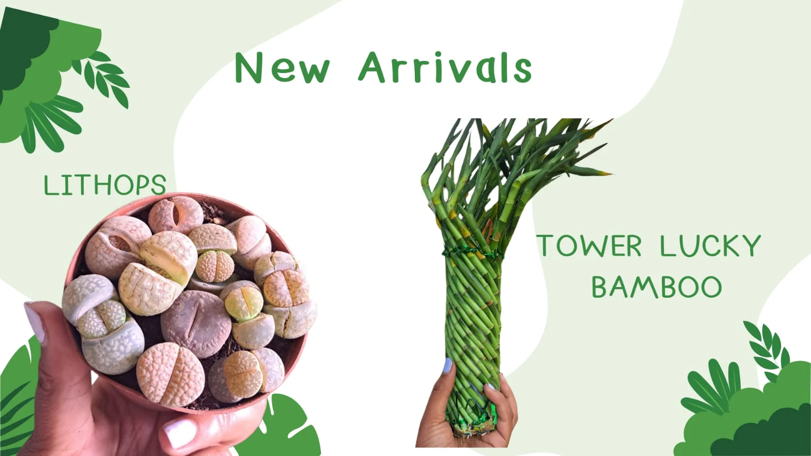 Bring Your Home to Life